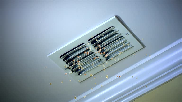 Best Home Air Vent Cleaning  in Winnsboro, LA